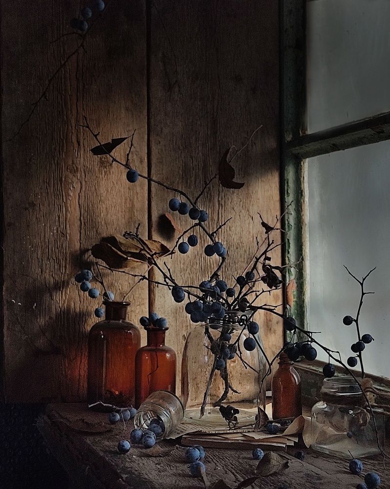 Фотография автора Инга Шевелёва