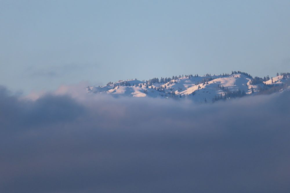 Photo #11647002