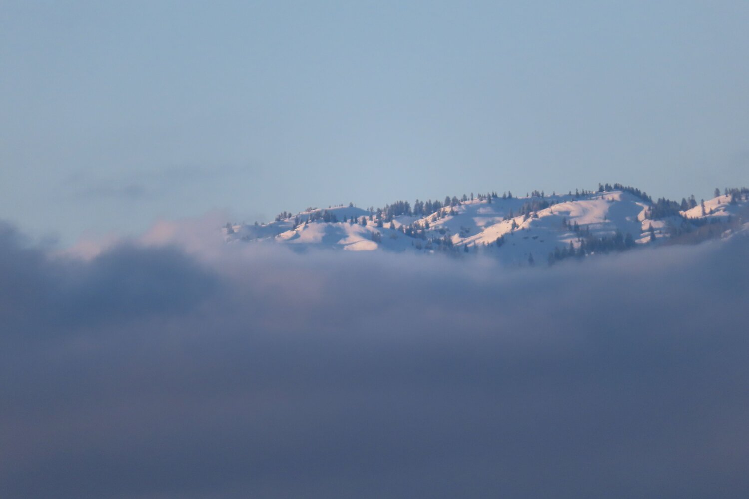 Photo #11647002