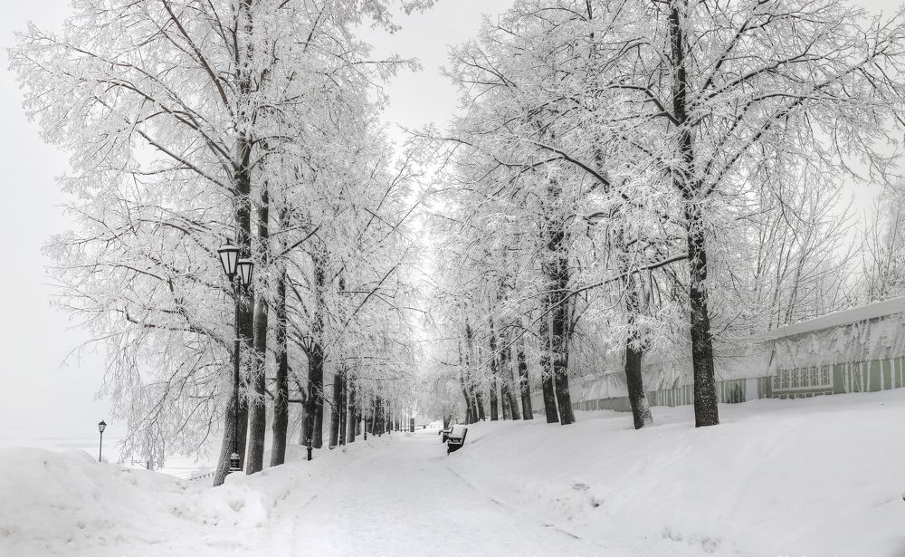 Фотография автора Светлана Бакулина