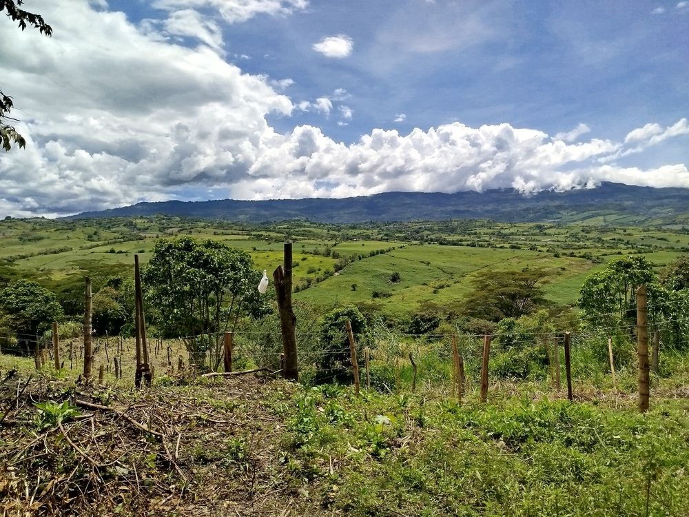 Photograph by Consuelo Callejas