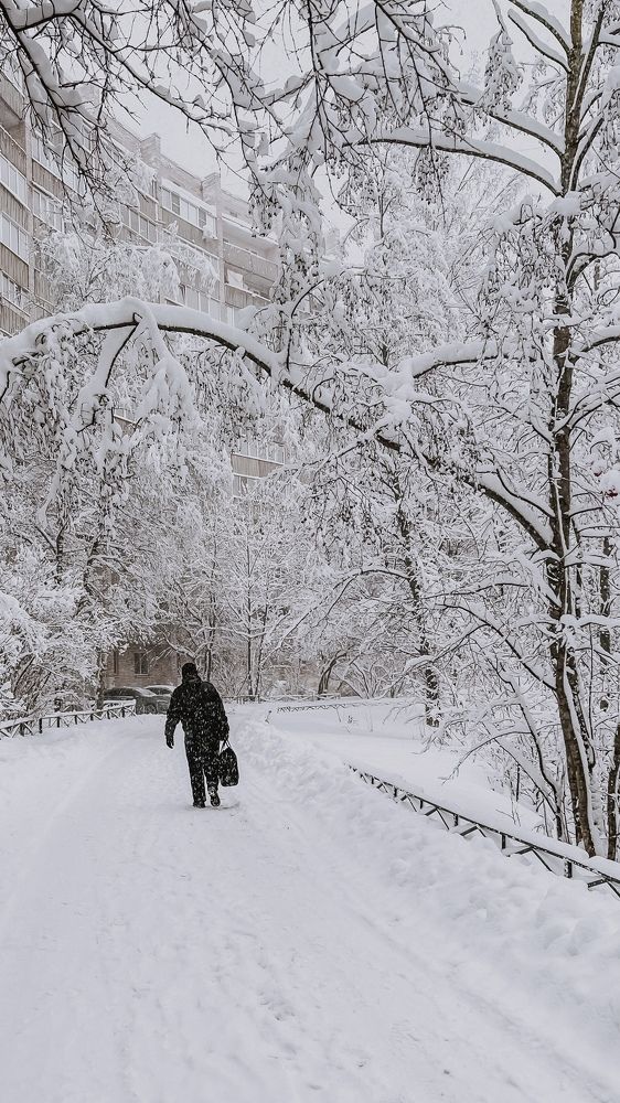 На пути к дому