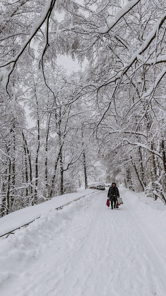 Фотография автора Мария Жукова