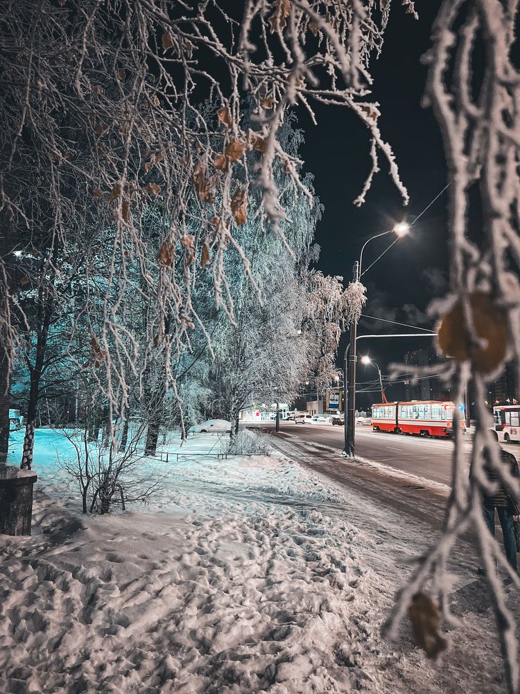 Фотография автора Мария Жукова