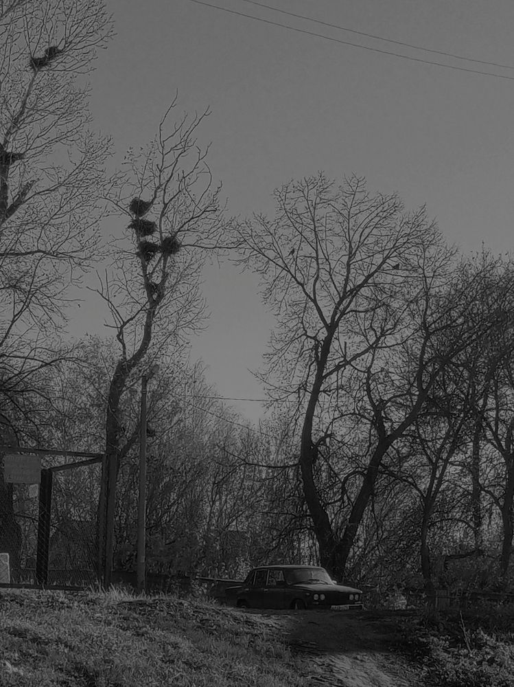 Photograph by Татьяна Цапкова