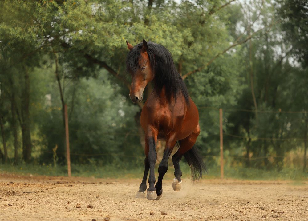 Photograph by Ольга Колобова