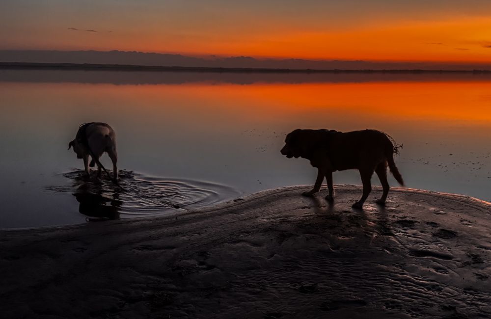 Photograph by Maria julieta ZURZOLO