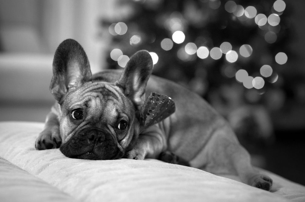 Photograph by Алексей Вяткин