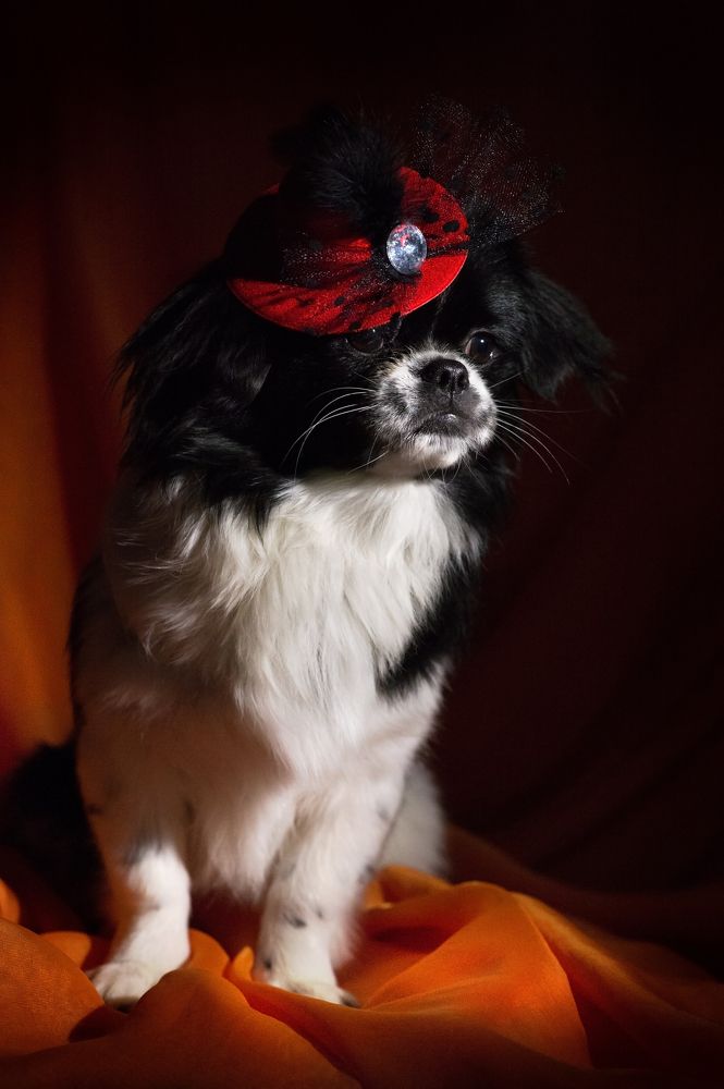 Photograph by Алексей Вяткин