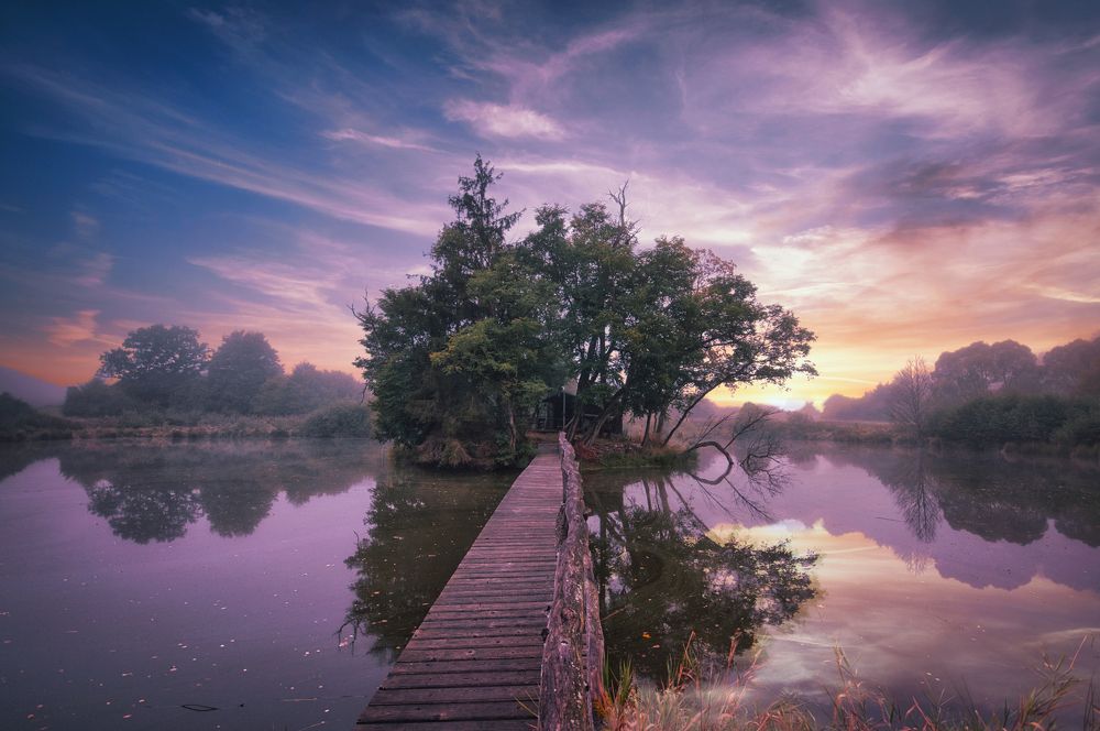 The Island of Robinson Crusoe