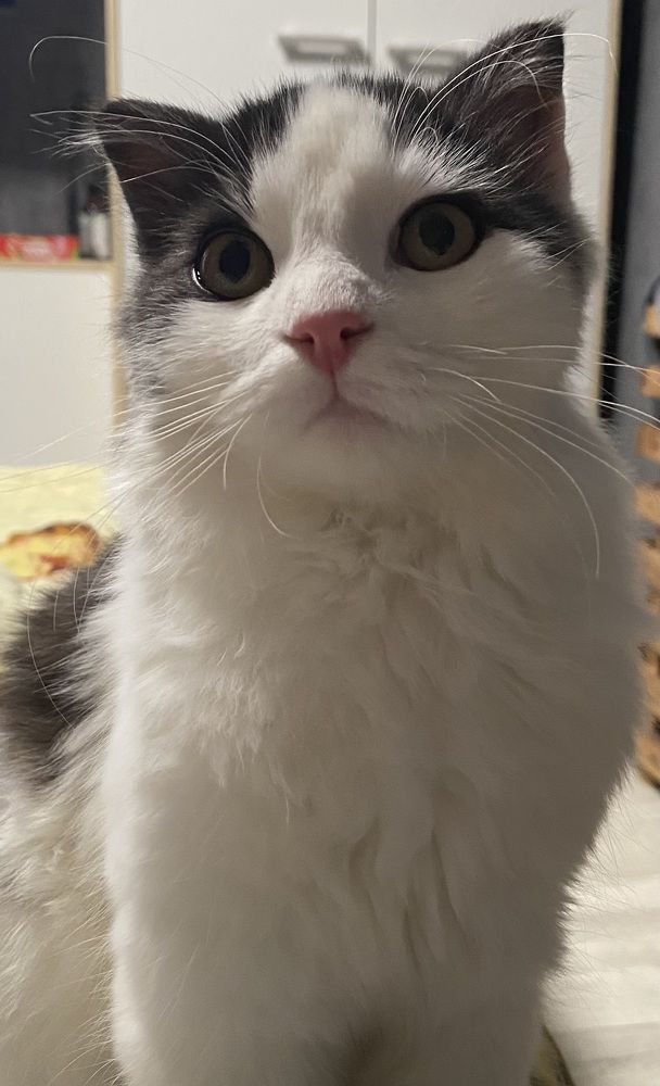 Photograph by Василина