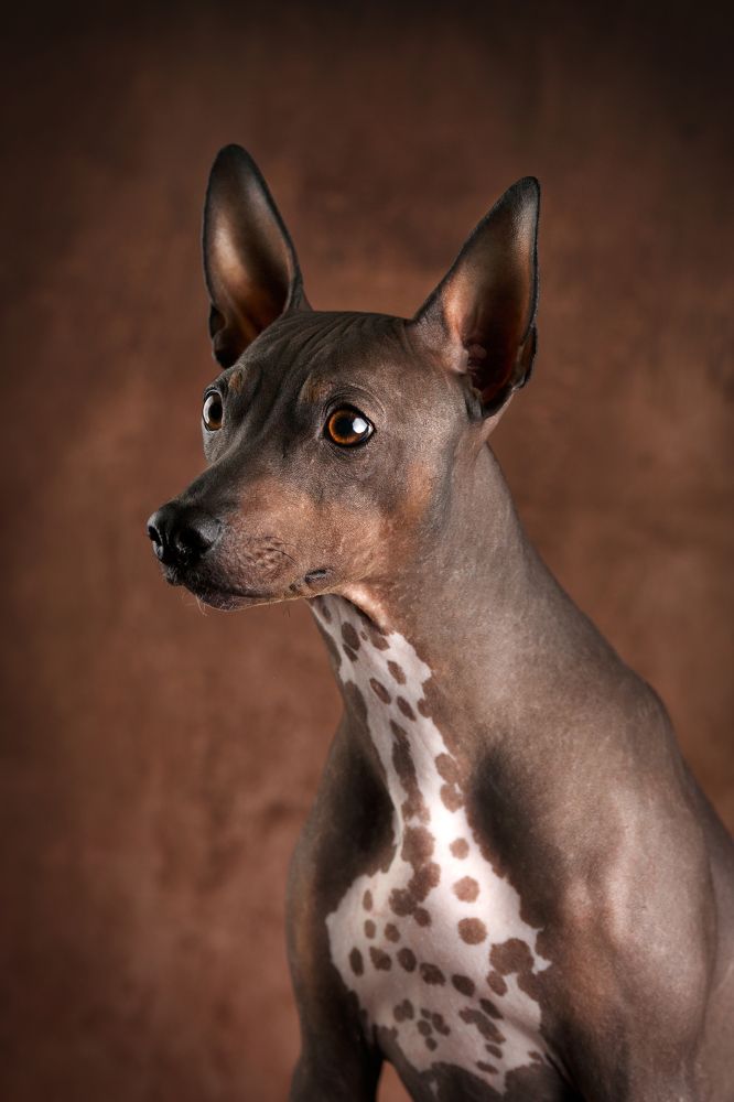 Photograph by Евгения Костусева