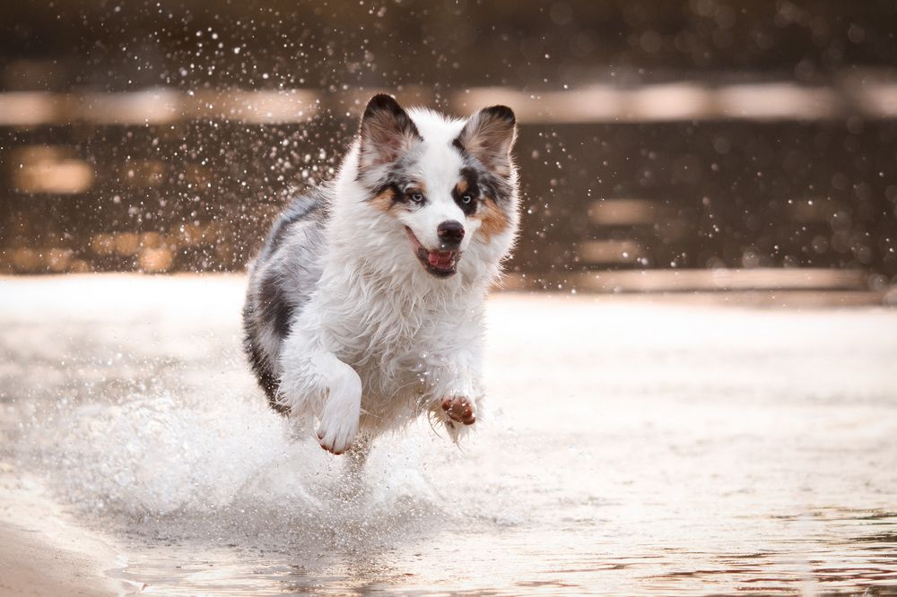 Photograph by Евгения Костусева