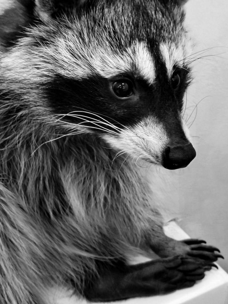 Photograph by Алексей Вяткин