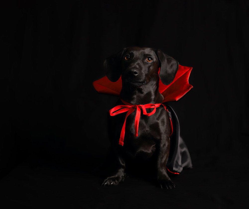 Photograph by Ольга Колобова