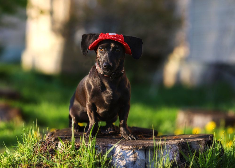 Photograph by Ольга Колобова