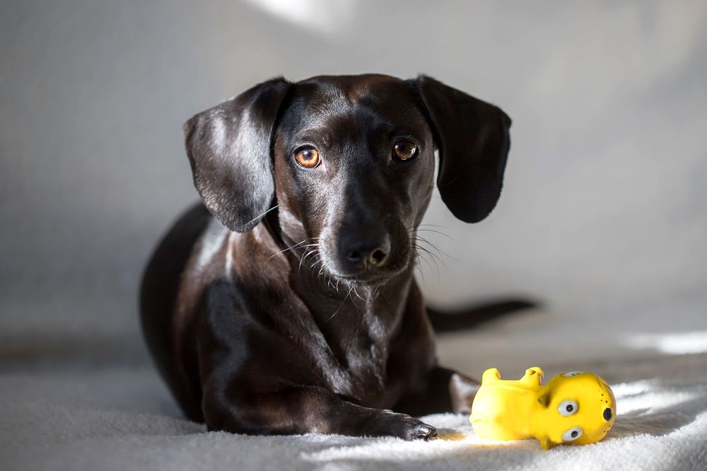 Photograph by Ольга Колобова