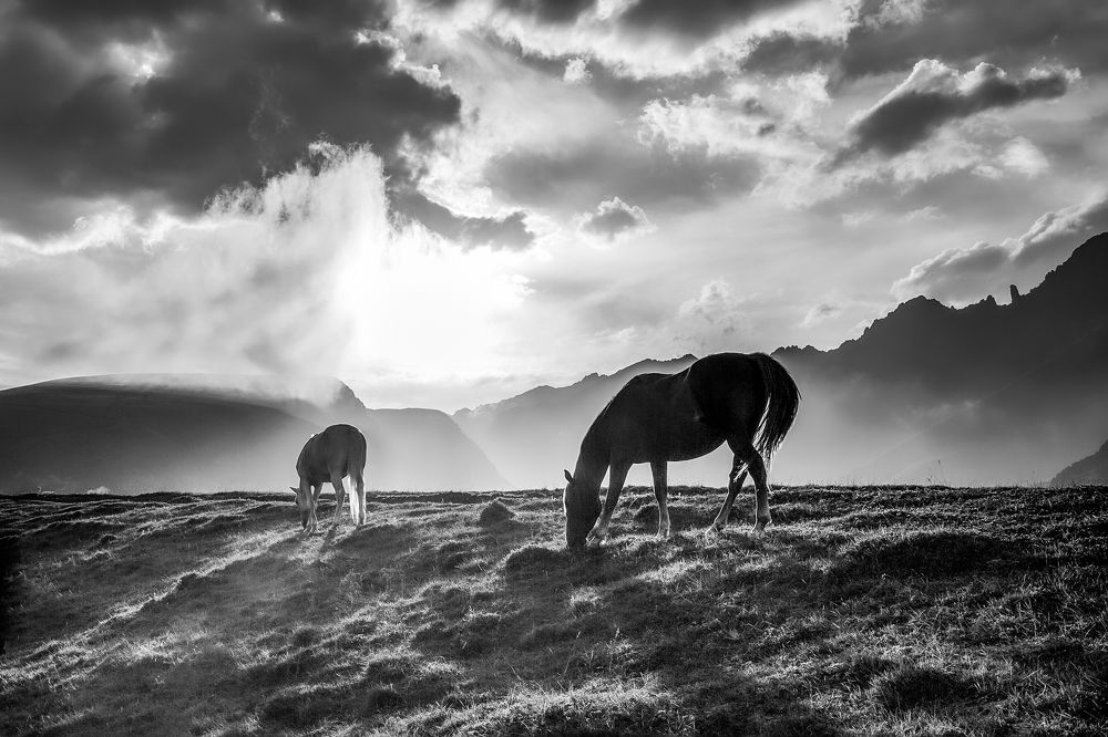 Photograph by Евдокимов Сергей