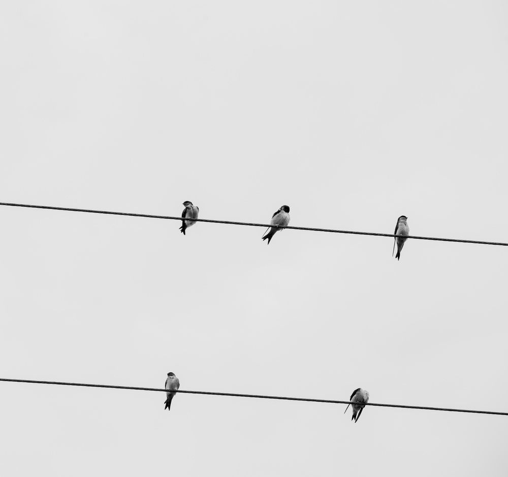 Photograph by Amir Negaresh