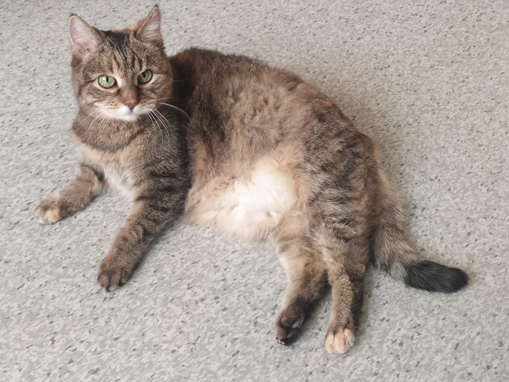 Photograph by Татьяна Клемба