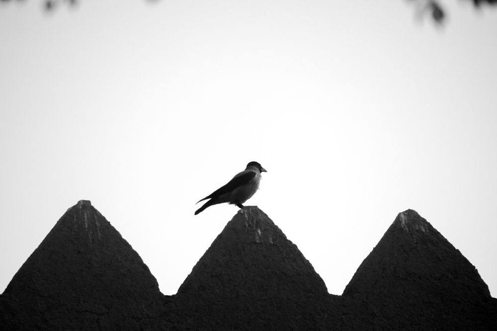 Photograph by Amir Negaresh