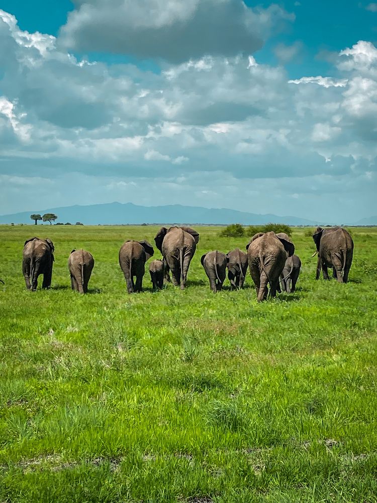 Фотография автора Андрей Болотин