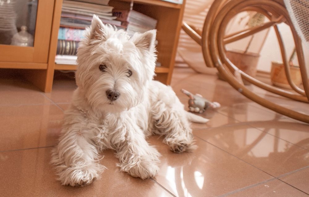 Photograph by Ольга Гаязова