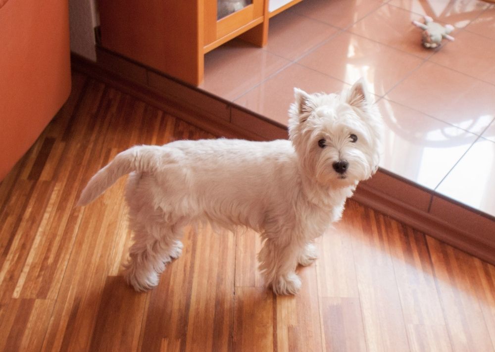 Photograph by Ольга Гаязова