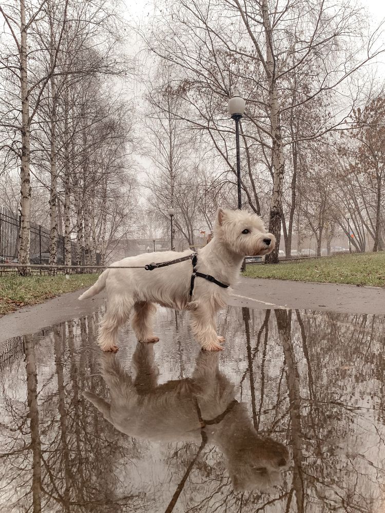 Photograph by Ольга Гаязова