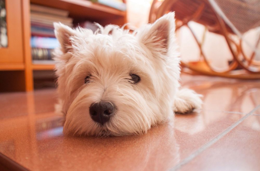 Photograph by Ольга Гаязова