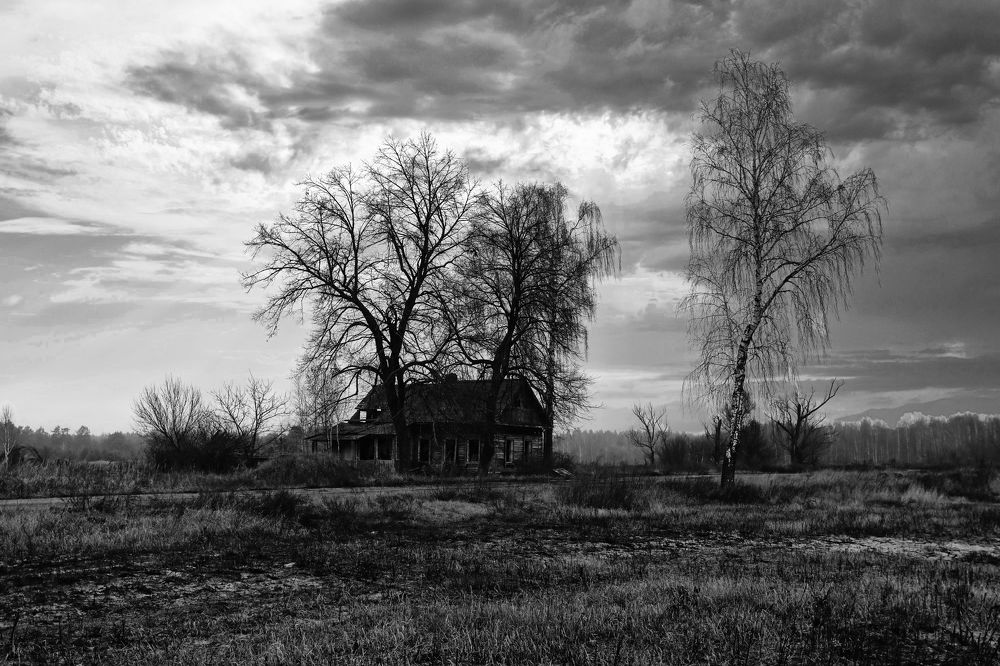 Photograph by Александр Лемешков