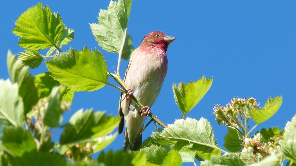 Photograph by Егор Чинарев