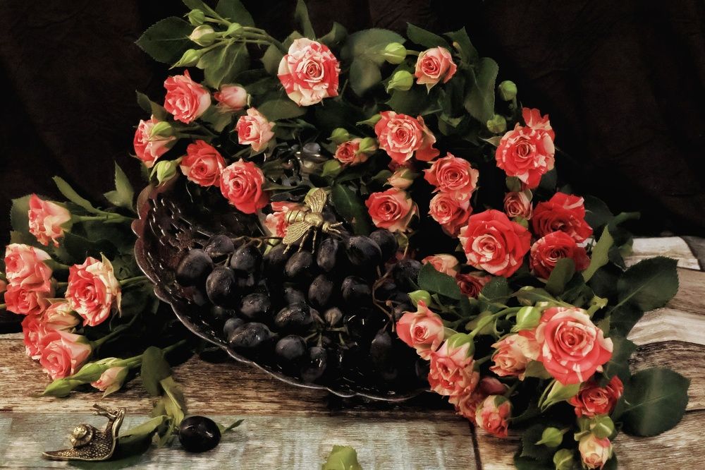 Photograph by Olga Asson