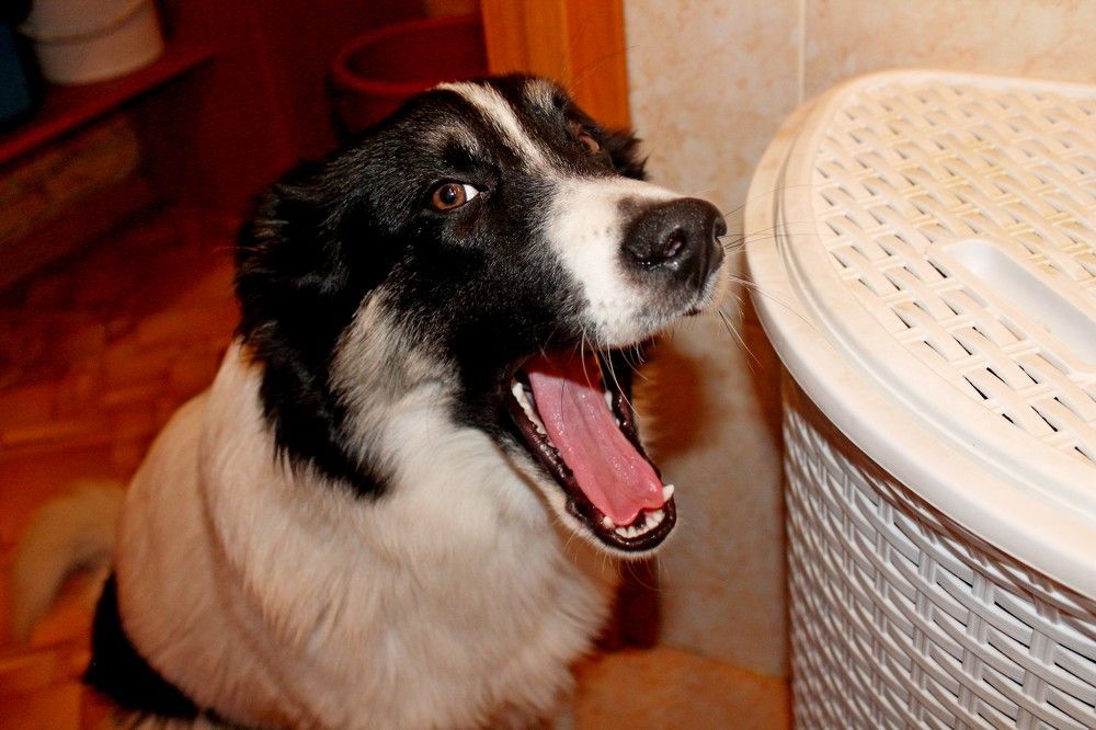 Photograph by Дмитрий Симагин