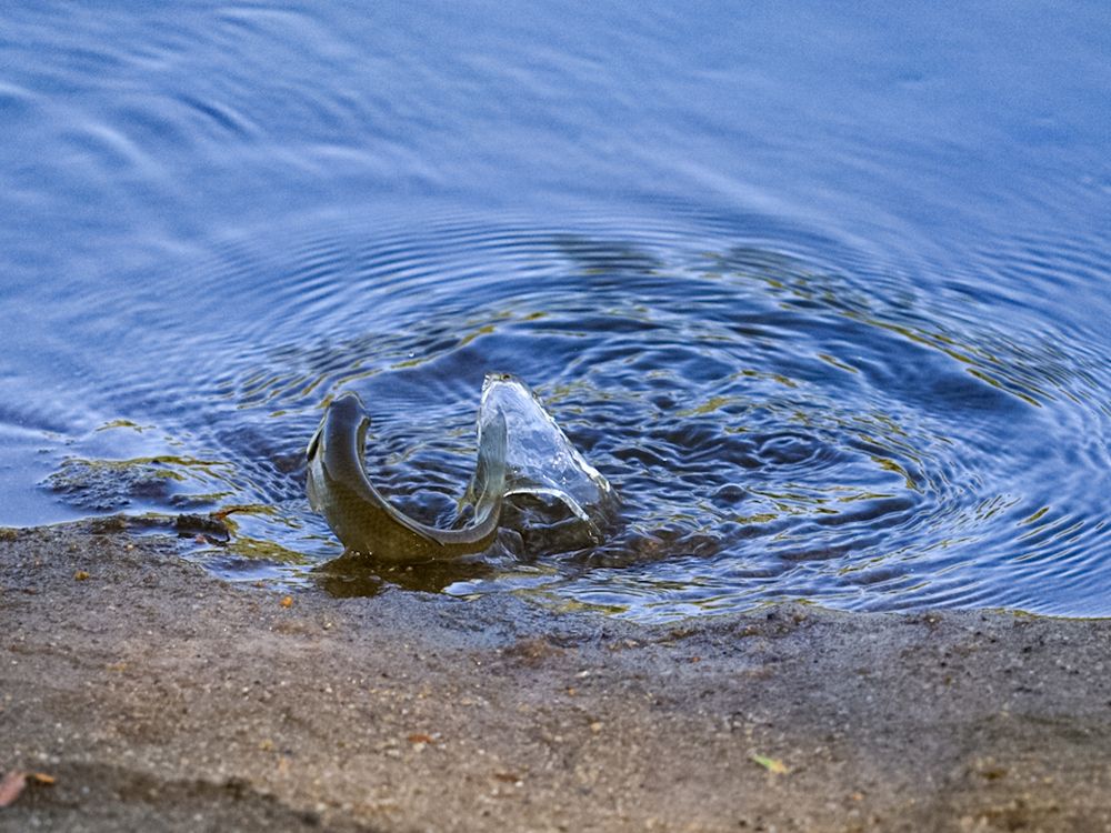 Photograph by Сергей Конюшенко