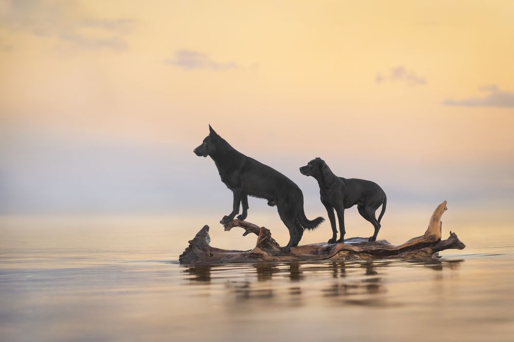 Photograph by Paula Casado Gutierrez