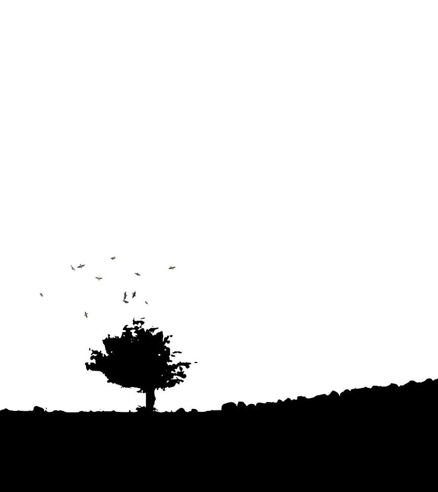 Фотография автора Naser Rezeian