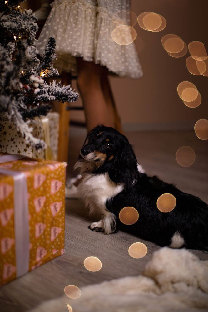 Photograph by Елена Матвеичева