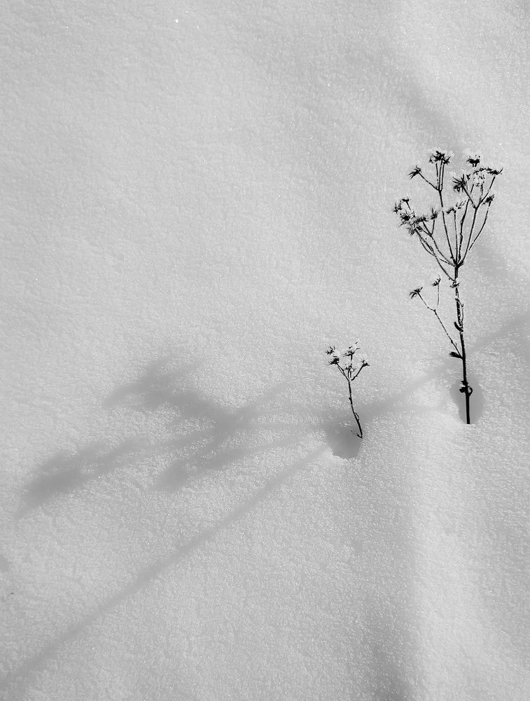 Photograph by Ольга Мартьянова