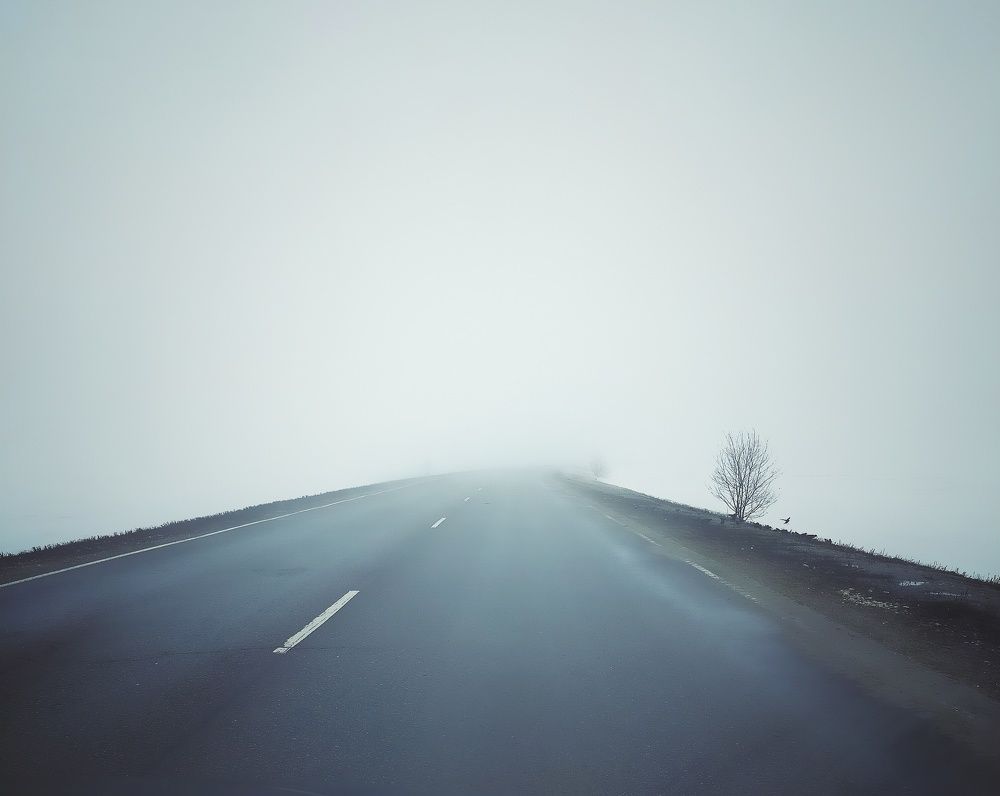 Photograph by Ольга Мартьянова