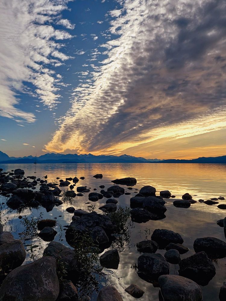 Фотография автора Patricia