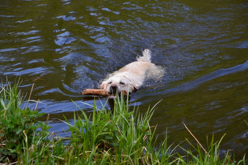 Фотография автора Анатолий Борисенко