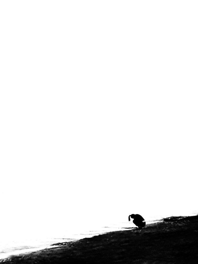 Фотография автора Naser Rezeian