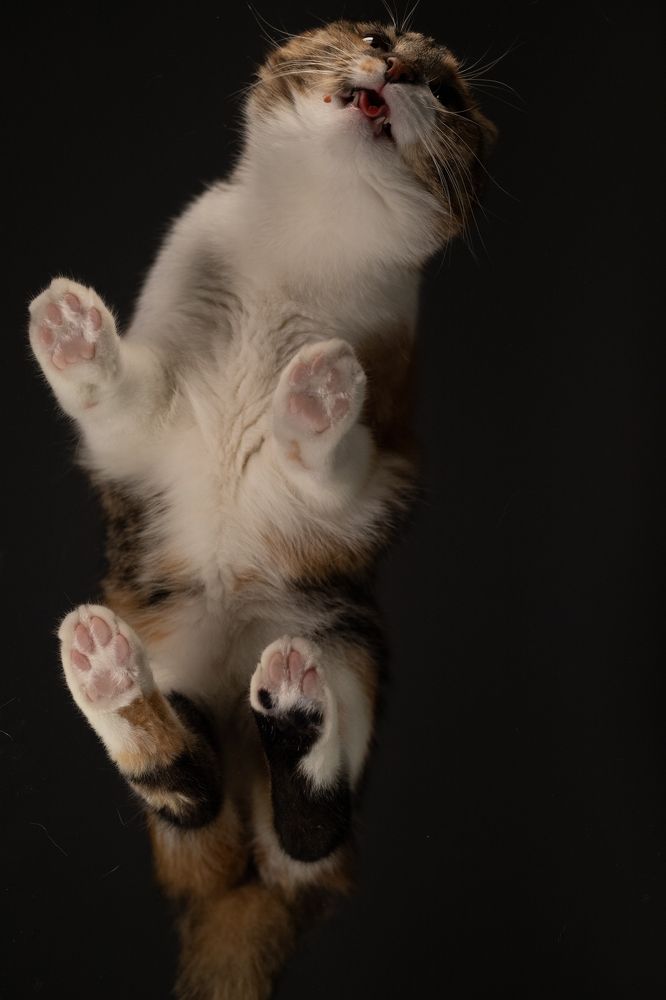 Photograph by Дмитрий Ефимов