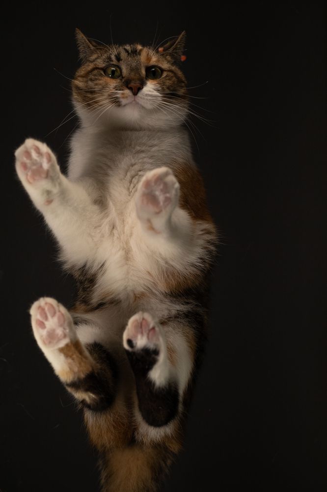 Photograph by Дмитрий Ефимов