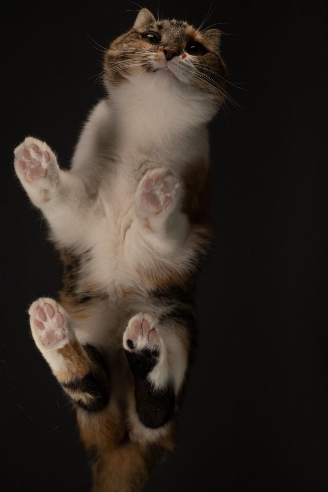 Photograph by Дмитрий Ефимов