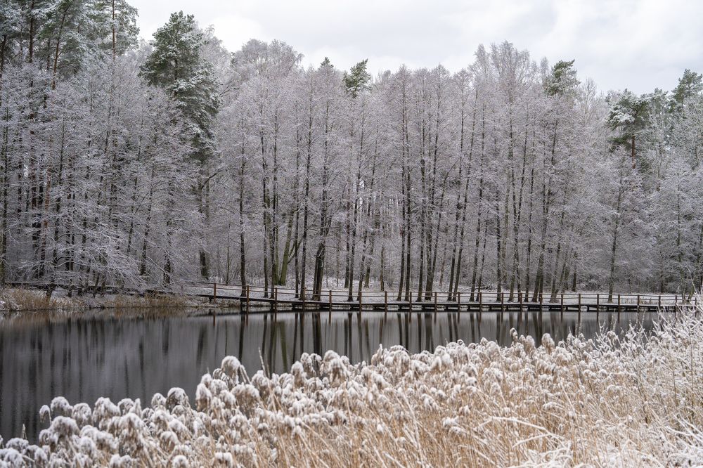 Photograph by Intars Supins