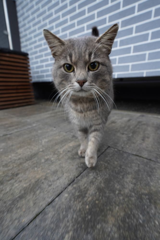 Photograph by Андрей Пучков