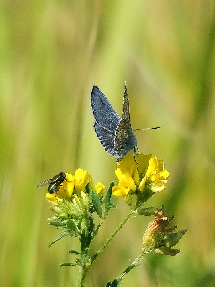 Photograph by Оксана Митяшова