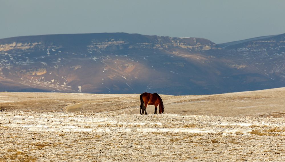 Photograph by Дмитрий Соколов